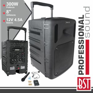 Coluna Amplificada Pro 8" 300W Mp3 Cd/USB/BT/SD/Bat - (PWA220)