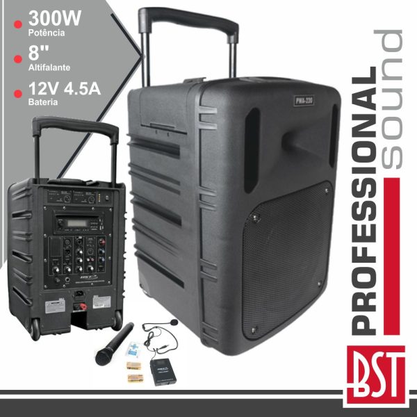Coluna Amplificada Pro 8" 300W Mp3 Cd/USB/BT/SD/Bat - (PWA220)